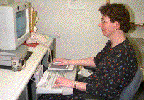 Post-intervention mouse arrangement.