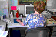 Pre-intervention mouse arrangement.