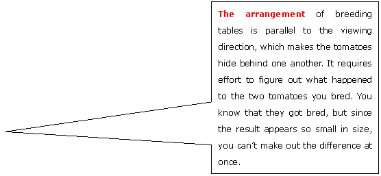 사각형 설명선: The arrangement of breeding tables is parallel to the viewing direction, which makes the tomatoes hide behind one another. It requires effort to figure out what happened to the two tomatoes you bred. You know that they got bred, but since the result appears so small in size, you can�t make out the difference at once. 