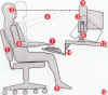 ideal_posture_1.jpg (88960 bytes)