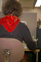 back0.gif (13640 bytes)