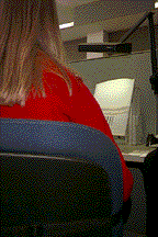 back1.gif (13343 bytes)