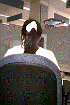 back2.gif (14631 bytes)