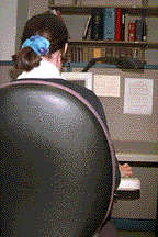 back3.gif (14818 bytes)
