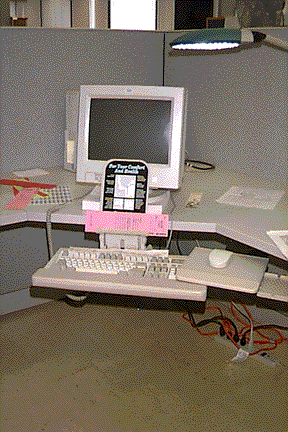 setup2.gif (49030 bytes)
