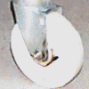 New caster (detail)