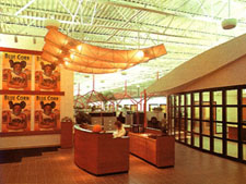 bdysp.jpg (23133 bytes)