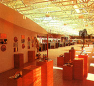 bdyspint.jpg.jpg (16818 bytes)