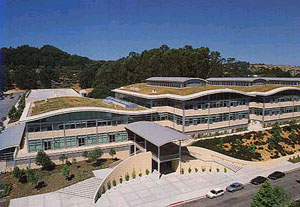 gap_ext2.jpg (31327 bytes)