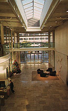 gap_lob.jpg.jpg (15301 bytes)