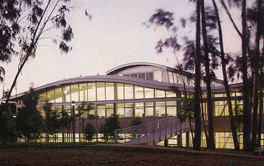 gap_nt.jpg.jpg (37613 bytes)