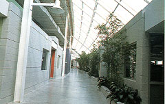 mil_hall.jpg.jpg (16111 bytes)